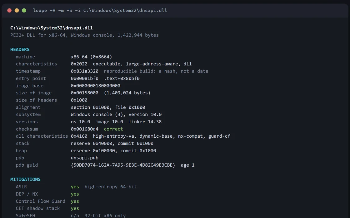 Loupe printing the headers and mitigations of dnsapi.dll in a terminal